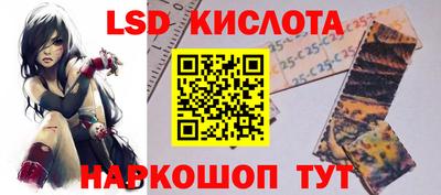 стаф Можга