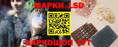 стаф Можга