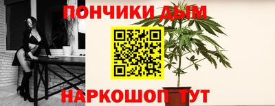 стаф Можга