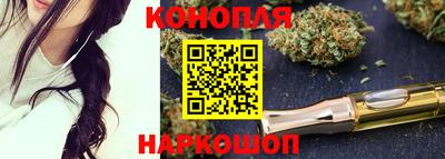 стаф Можга
